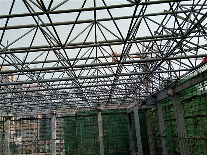 六安光谷第十一小学网架